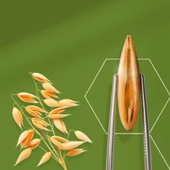 Aveeno Daily Moisturising Body Wash -Promos Sublim Zen Magasin aveeno daily moisturising body wash creme de douche nourrissante intense 2