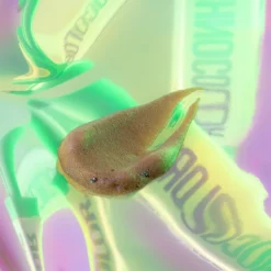 Bondi Sands Technocolor 1 Hour Express Emerald -Promos Sublim Zen Magasin bondi sands technocolor 1 hour express emerald mousse auto bronzante 3