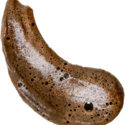 Coco & Eve Sunny Honey Ultimate Glow Kit -Promos Sublim Zen Magasin coco eve sunny honey ultimate glow kit mousse auto bronzante avec gant applicateur 3