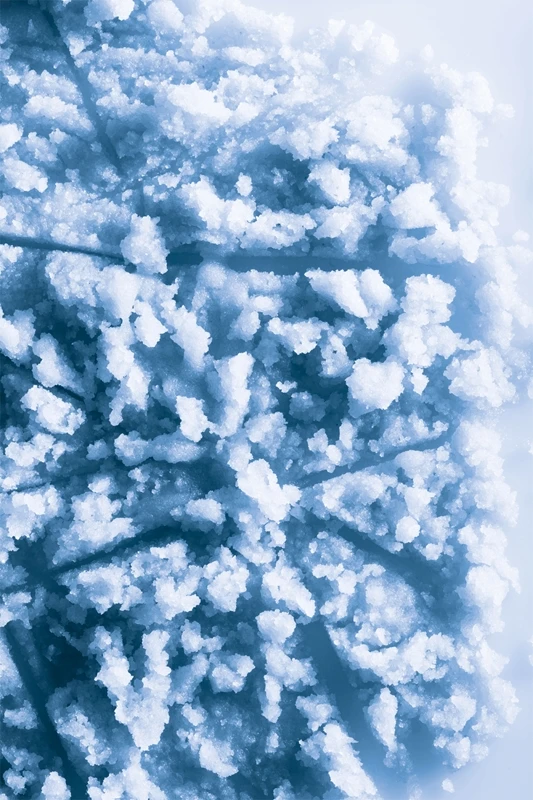 Collistar Special Perfect Body Talasso-Scrub – Image 7