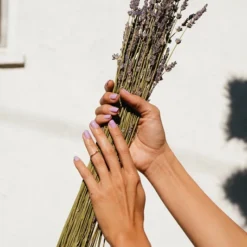 OPI Pro Spa -Promos Sublim Zen Magasin opi pro spa baume exfoliant pour cuticules 2